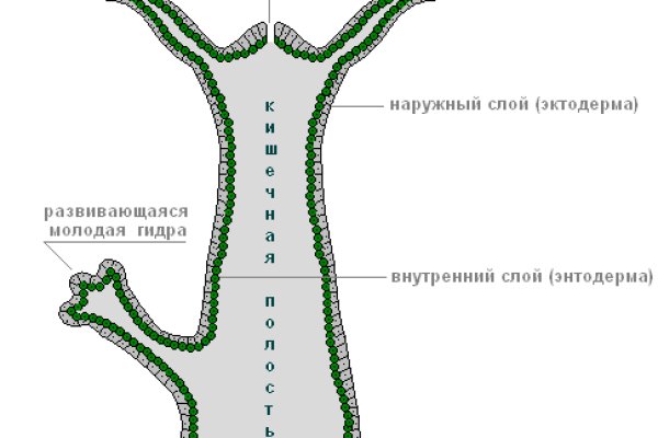 Кракен сайт официальный зеркало